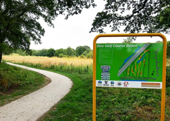 Online bijeenkomst discgolf Beilen