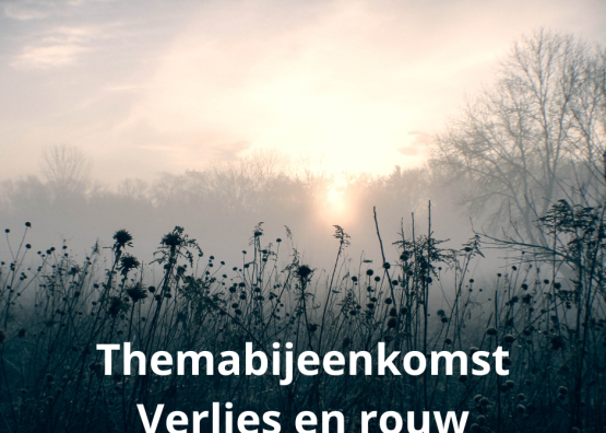 Themabijeenkomsten ‘Verlies en rouw’ in Smilde en Beilen