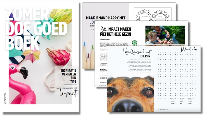 Zomerdoegoedboek Zomerdoegoedboek